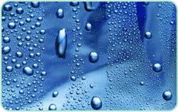 利来囯际·w66(中国)最老牌官方网站