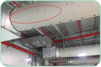 利来囯际·w66(中国)最老牌官方网站